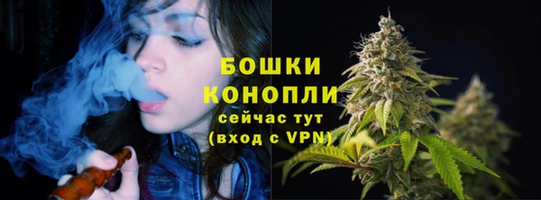 спиды Краснослободск