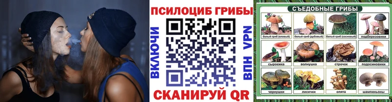 Купить  Бугульма  Галлюциногенные грибы Cubensis 