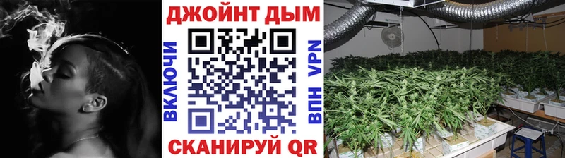 Купить закладки  Бугульма  Шишки марихуана гибрид 